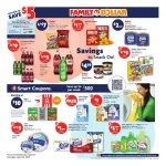 Family Dollar flyer preview