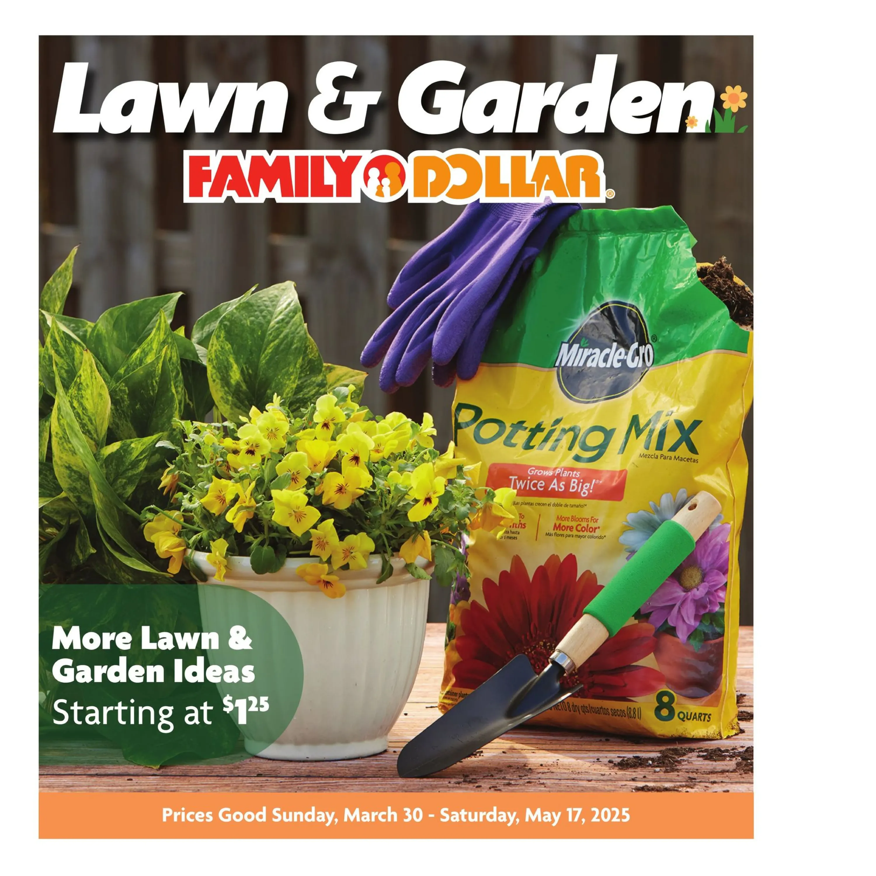 Family Dollar Weekly Ad Page 1