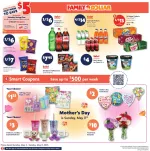 Family Dollar flyer preview