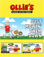 Ollies Bargain Outlet flyer preview