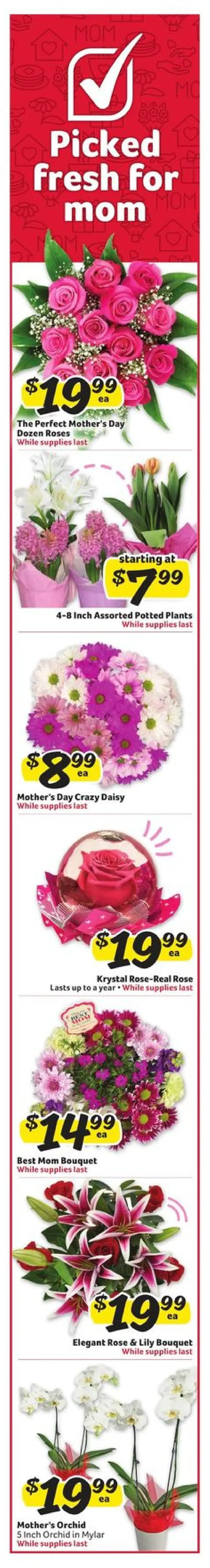 Winn-Dixie Weekly Ad Page 2