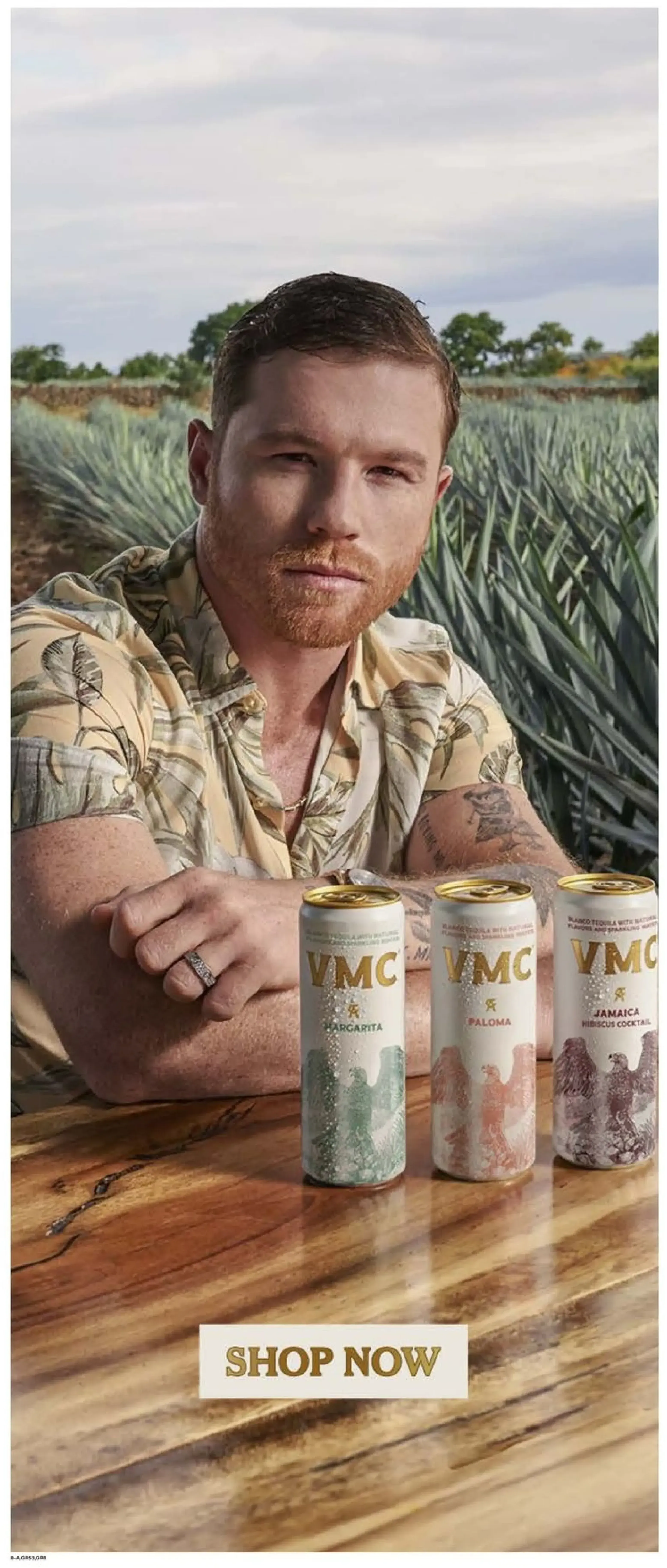 Stater Bros Markets Weekly Ad Page 8