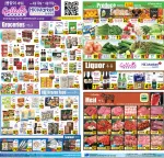 Galleria Market flyer preview