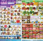 Galleria Market flyer preview