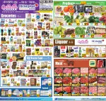 Galleria Market flyer preview