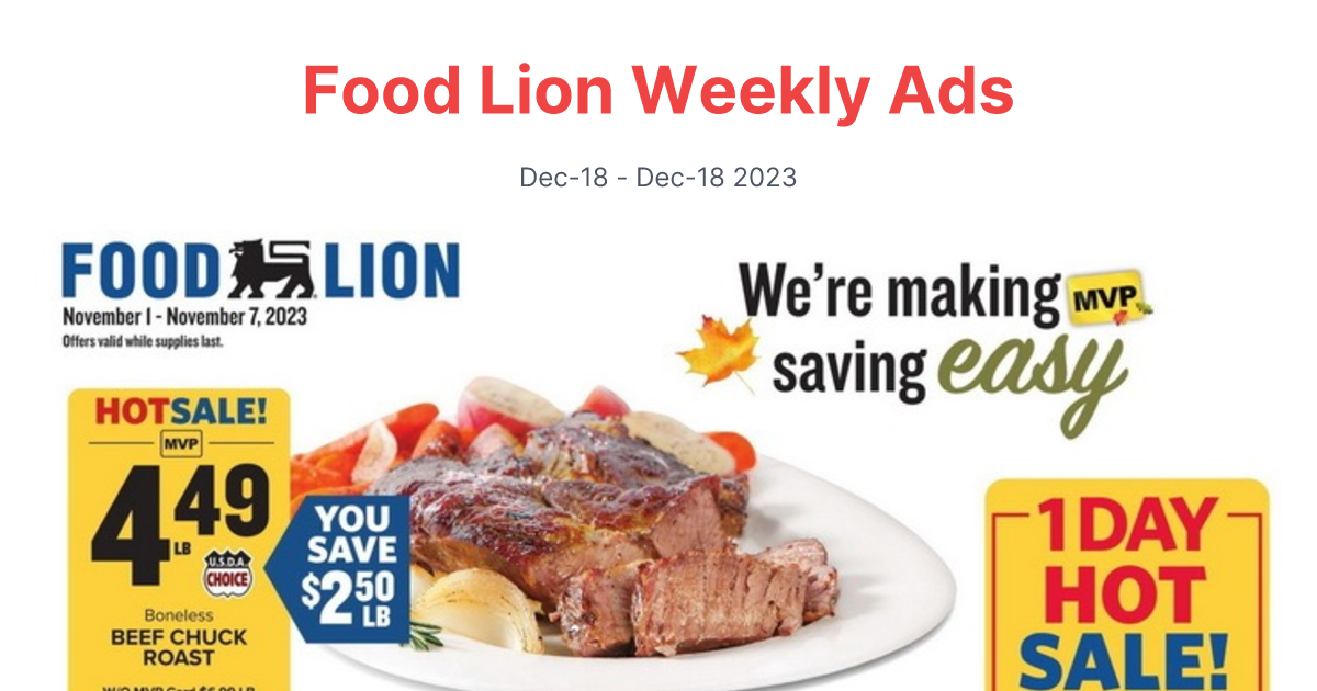 Food Lion 1101 1107 1 1